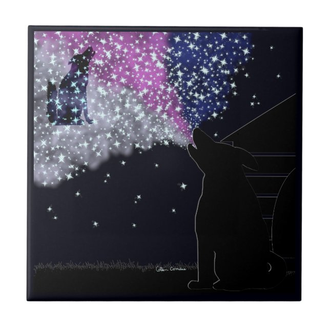 Carreau Une nuit d'été avec Sirius (Devant)