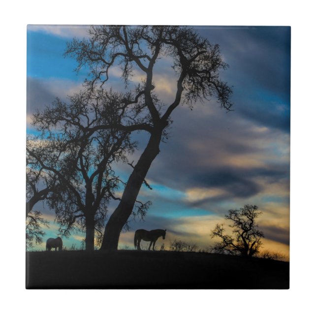 Carreau Une pause dans la tempête Horse Art Tile (Devant)