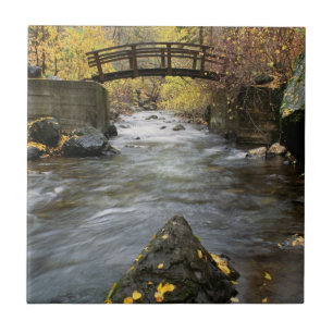 Carreau Une rivière fonctionnant par le canyon américain