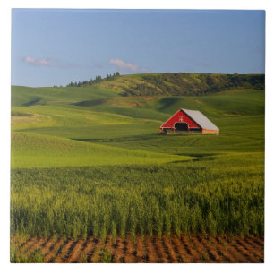 Carreau Une vue panoramique d'une grange à Moscou Idaho.