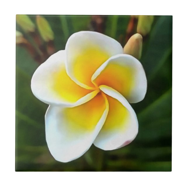 Carreau Unique Frangipani Blossom Realism Art (Devant)