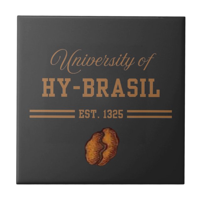 Carreau Université de Hy-Brasil, Ét. 1325 (Devant)