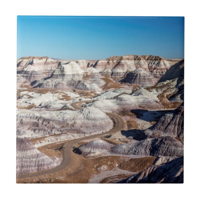 Carreau USA, Arizona, Parc national de la forêt pétrifiée (Devant)