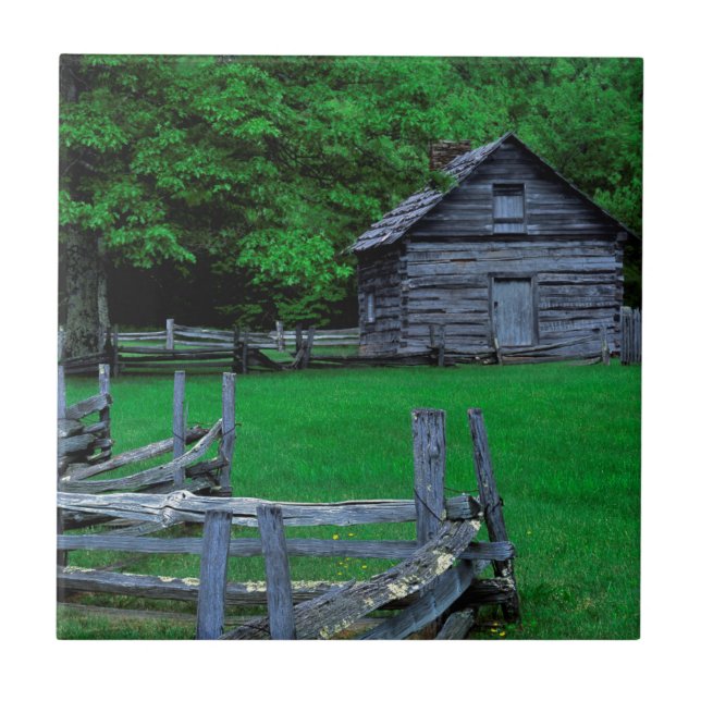 Carreau USA, Virginie, Blue Ridge Parkway, The Puckett (Devant)