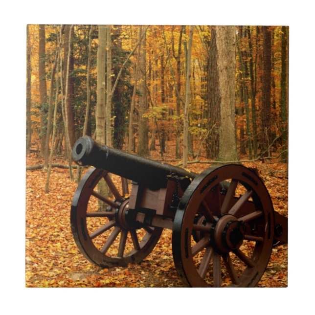 Carreau USA, Virginie, Colonial National Historical (Devant)