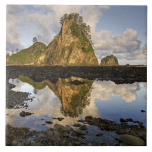 Carreau USA, Washington, Parc national olympique.A