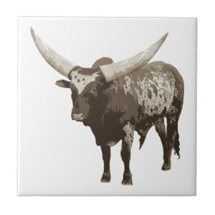 Carreau Vache Watusi