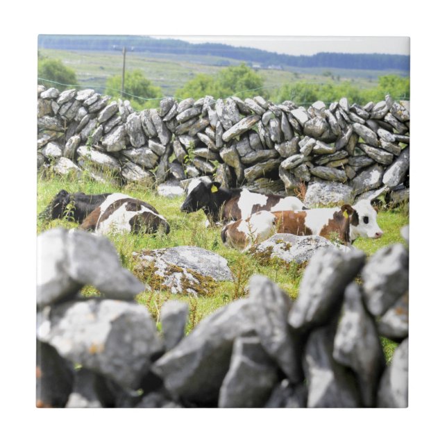 Carreau Vaches qui mugissent (Devant)