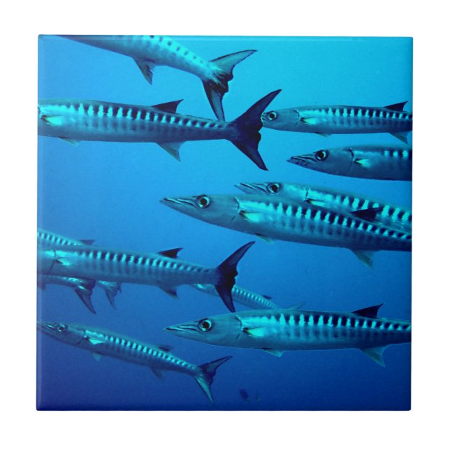 Carreau vague tropicale de l'eau d'océan de mer profonde (Devant)