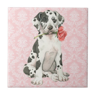 Carreau Valentine Rose Great Dane