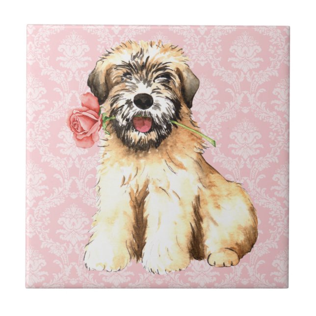 Carreau Valentine Rose Wheaten (Devant)