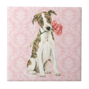 Carreau Valentine Rose Whippet