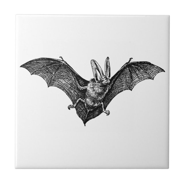 Carreau Vampire gothique de chauve-souris vintage (Devant)
