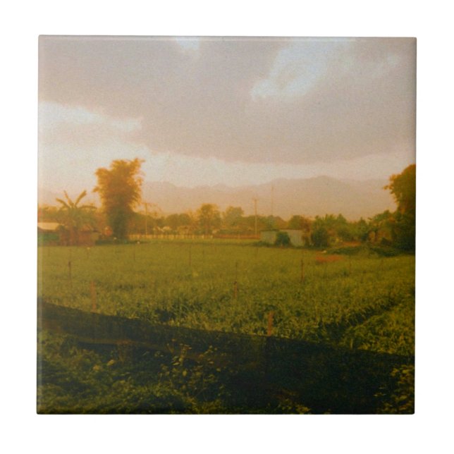 Carreau Vang Vieng - Laos  (Devant)