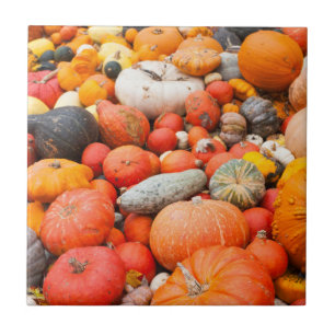 Carreau Variété de courge à vendre, Allemagne