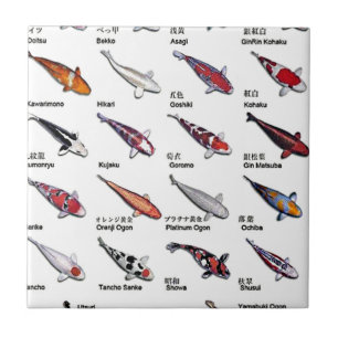 Carreau Variétés colorées de Koi Fish Nishikigoi Dessin
