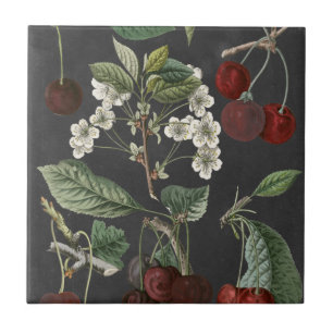 Carreau Variétés de verger I