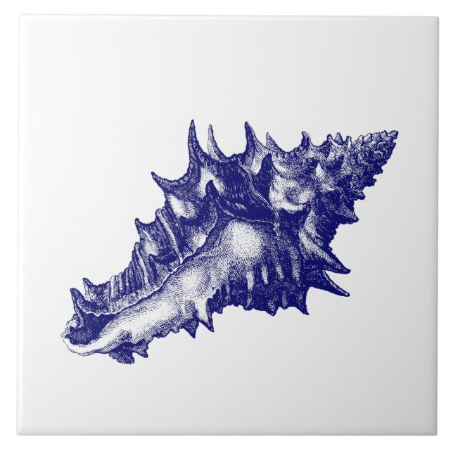 Carreau Vasum Ceramicum bleu et blanc (Devant)