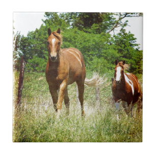 Carreau Venez quand on vous appelle, Deux chevaux