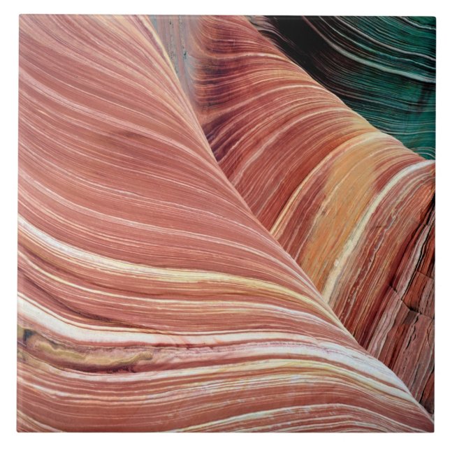 Carreau Vent et eau érodent le grès de Navajo dans (Devant)