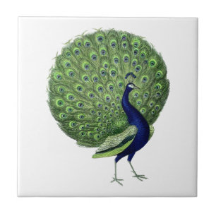 Carreau Ventilateur ouvert Peacock vintage