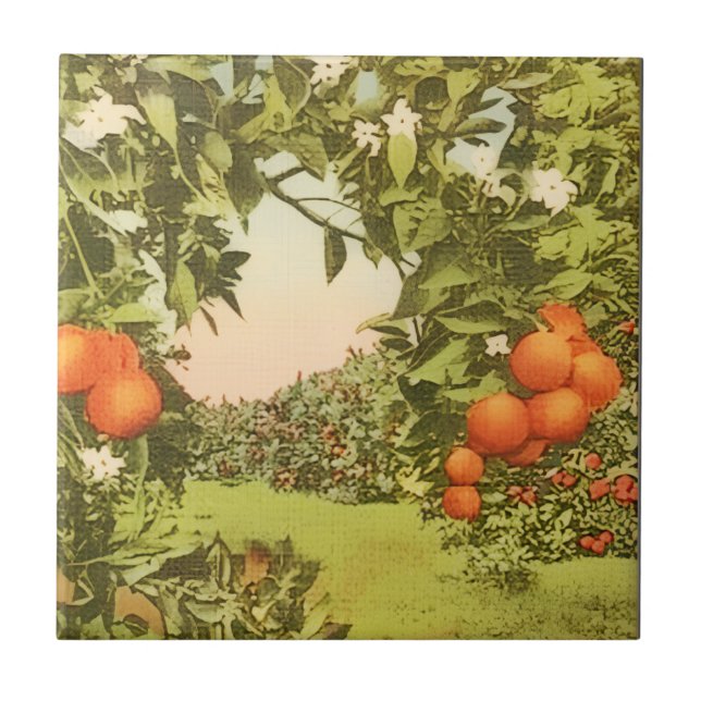 Carreau Verger d'orange vintage (Devant)