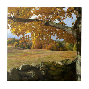 Carreau Vermont Vue d'automne