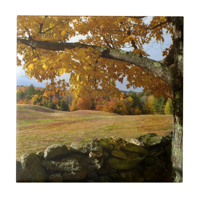 Carreau Vermont Vue d'automne (Devant)