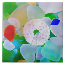 Verre de mer et oursin Shell