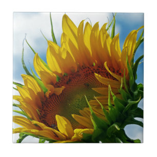 Carreau Vers le soleil