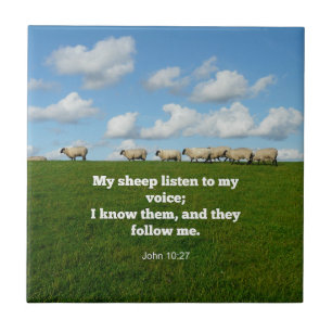 Carreau verset de la Bible, Jean 10:27,