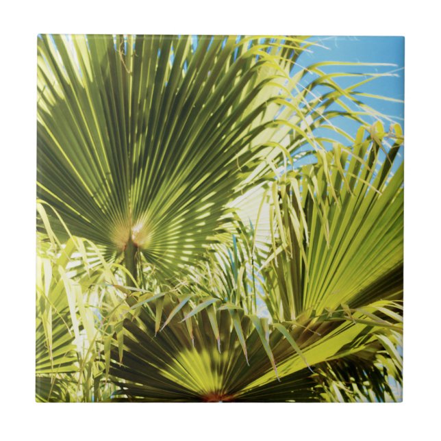 Carreau Vibes d'été Palm Tree Feuilles Pale Green (Devant)