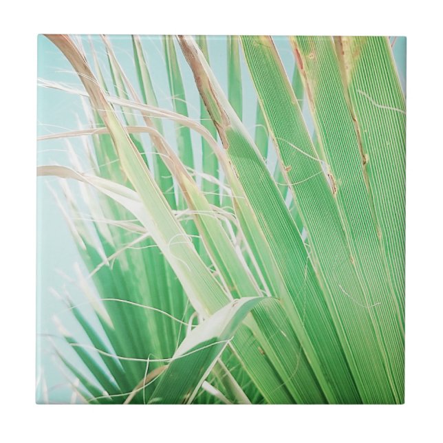 Carreau Vibes d'été Palm Tree Feuilles Pale Green (Devant)