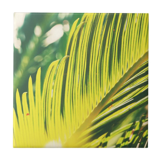 Carreau Vibes d'été Palm Tree Feuilles Pale Green (Devant)