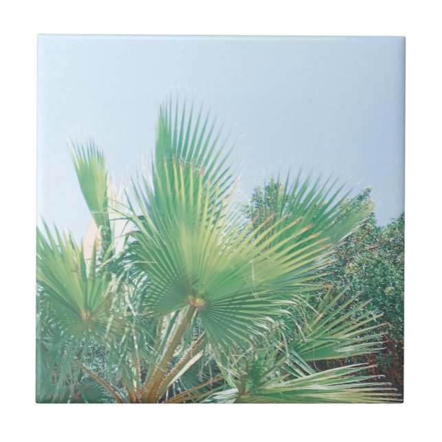 Carreau Vibes d'été Palm Tree Feuilles Pale Green (Devant)
