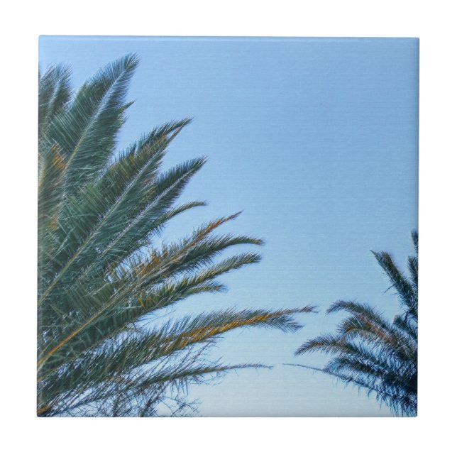 Carreau Vibes d'été Palm Tree Feuilles Pale Green (Devant)