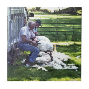 CARREAU VIE AGRICOLE