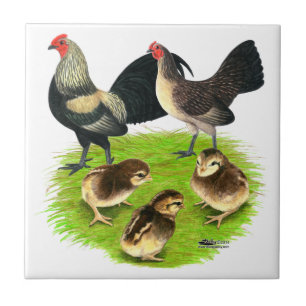 Carreau Vieille famille petite anglaise de dos de Brassy