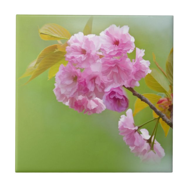 Carreau Vieille tuile de roses (Devant)