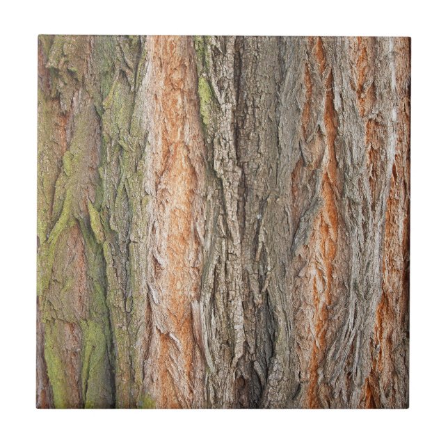 Carreau vieux arbre (Devant)