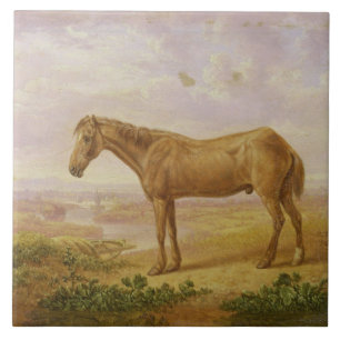 Carreau Vieux Billy, un cheval de trait, âgé 62 (huile s