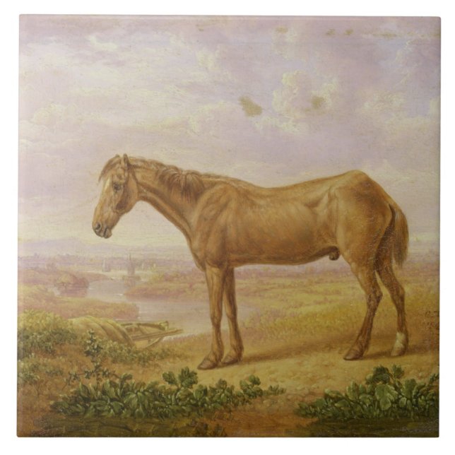 Carreau Vieux Billy, un cheval de trait, âgé 62 (huile sur (Devant)