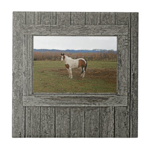 Carreau Vieux cheval en bois de peinture de fenêtre