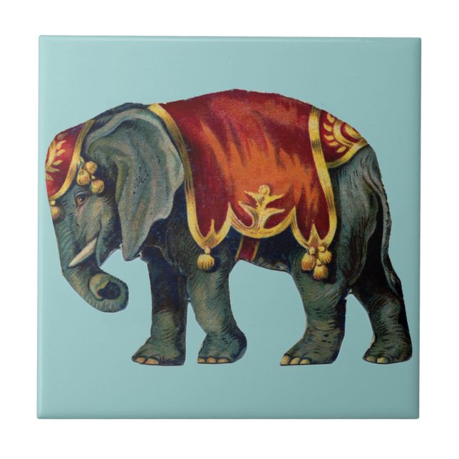 Carreau Vieux Iustração de l'éléphant du cirque (Devant)