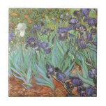 Carreau Vincent van Gogh - Irises<br><div class="desc">Irises (1889) de Van Gogh est un post impressionnisme vintage de peinture de nature fleurie d'art. Un groupe d'iris à barbe violet et une seule fleur d'iris blanc poussent dans un jardin. C'était l'une de ses premières peintures alors qu'il était à l'asile à Saint-Rémy-de-Provence. En 1987, il est devenu le...</div>