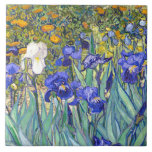 Carreau Vincent Van Gogh Irises Floral Vintage Fine Art<br><div class="desc">Vincent Van Gogh Blue Irises Floral Fine Art Irises est l'un des nombreux tableaux d'iris de l'artiste post-impressionniste néerlandais Vincent van Gogh. Comme beaucoup d'artistes de son époque, Van Gogh a été influencé par les estampes japonaises ukiyo-e. Les contours forts, les angles inhabituels, y compris les vues rapprochées, sont un...</div>