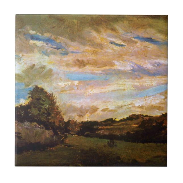 Carreau Vincent Van Gogh - Paysage avec des dunes Beaux-Ar (Devant)