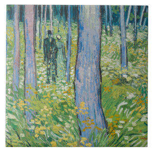Carreau Vincent van Gogh - Sous-croissance à deux chiffres