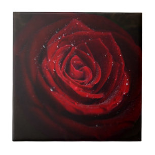 Carreau Vins roses Coeur Motif Fleur Paix Amour Destinée