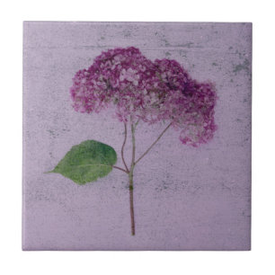 Carreau Vintage Antique Purple Hydrangea Pays Floral